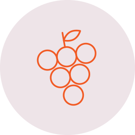 Grape variety Icon